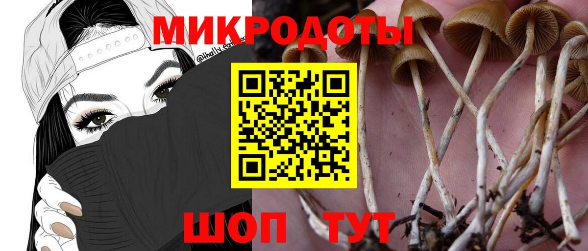 Псилоцибиновые грибы ЛСД Видное